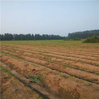 內(nèi)蒙古高標準農(nóng)田年預計達4082萬畝